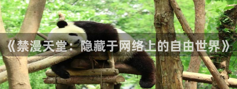风车动漫樱花：《禁漫天堂：隐藏于网络上的自由世界》