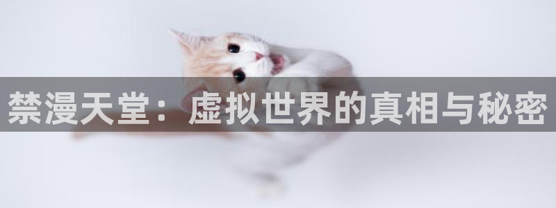 风车动漫专注动漫的门户网站：禁漫天堂：虚拟世界的真相与秘密