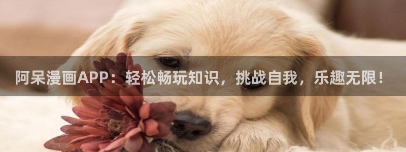 在线动画动漫下载风车动漫：阿呆漫画APP：轻松畅玩知识，挑战自我，乐趣无限！