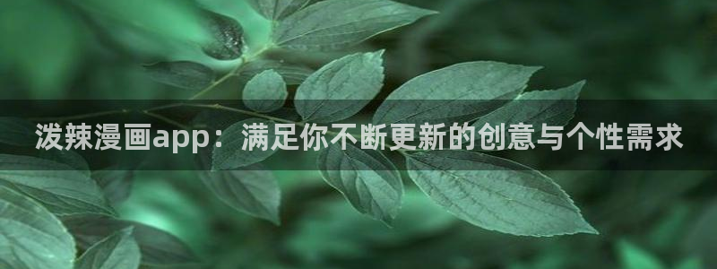 风车动漫下载：泼辣漫画app：满足你不断更新的创意与个性需求