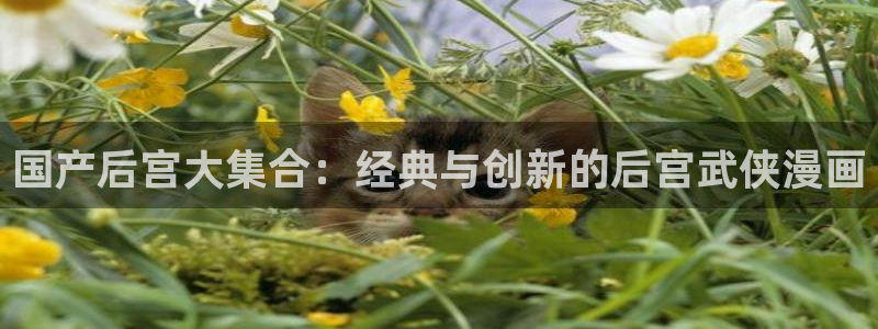 managereader漫画官网入口：国产后宫大集合：经典与创新的后宫武侠漫画