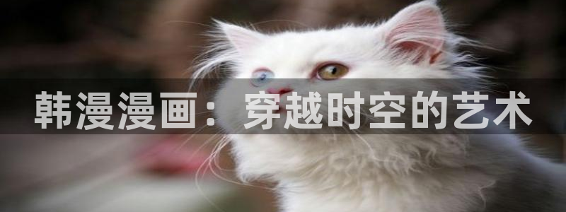 风车动漫下载网：韩漫漫画：穿越时空的艺术