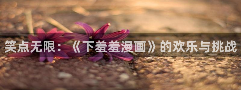 风车动漫官网网址：笑点无限：《下羞羞漫画》的欢乐与挑战