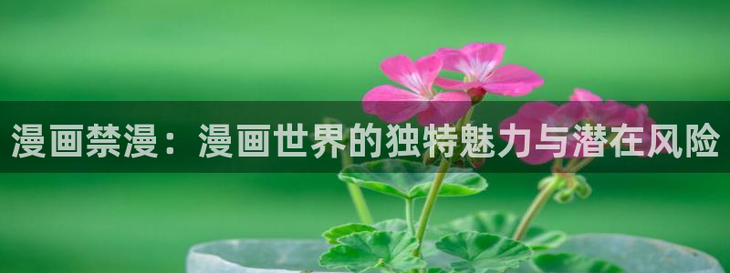 风车动漫正版网：漫画禁漫：漫画世界的独特魅力与潜在风险