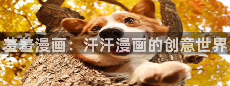 风车动漫：羞羞漫画：汗汗漫画的创意世界