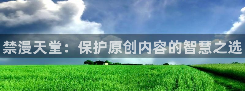 风车动漫下载动漫全免费：禁漫天堂：保护原创内容的智慧之选