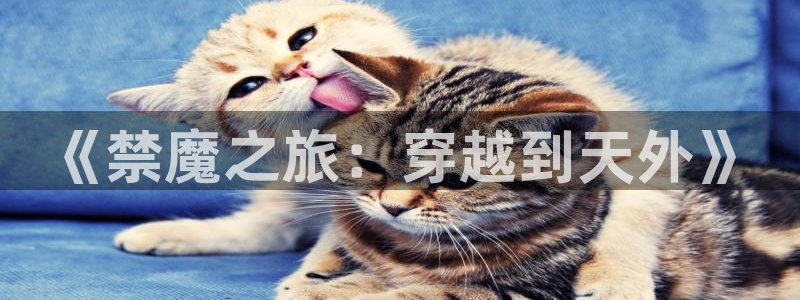 age专注动漫的门户网站：《禁魔之旅：穿越到天外》