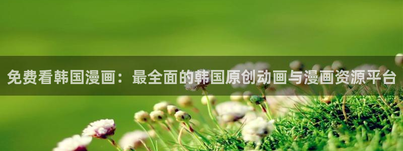 风车动漫正版网：免费看韩国漫画：最全面的韩国原创动画与漫画资源平台