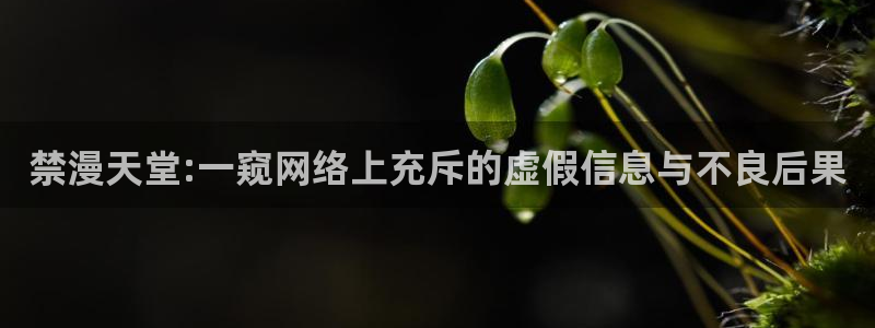 lovestage漫画免费阅读：禁漫天堂:一窥网络上充斥的虚假信息与不良后果