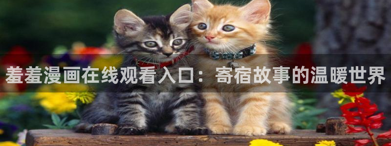 age樱花动漫：羞羞漫画在线观看入口：寄宿故事的温暖世界