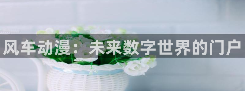 风车动漫网：风车动漫：未来数字世界的门户