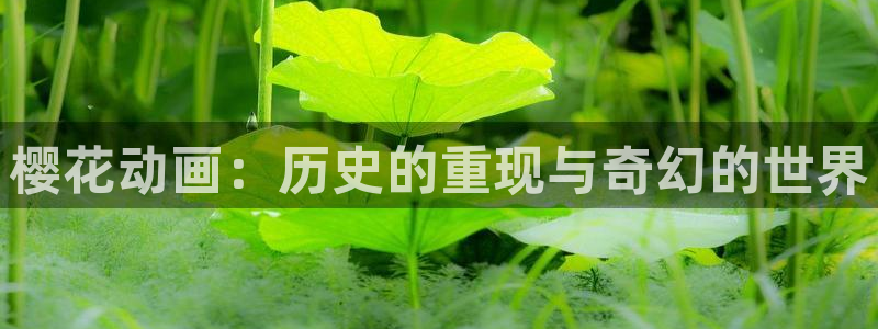 lovestage漫画免费阅读：樱花动画：历史的重现与奇幻的世界