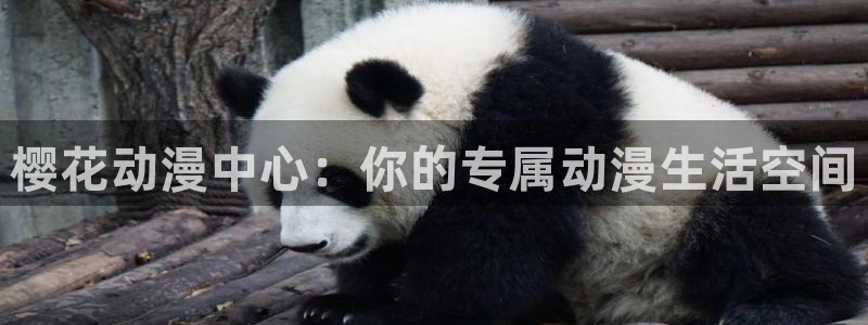 colamanage漫画下载：樱花动漫中心：你的专属动漫生活空间