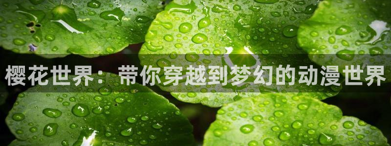 风车动漫网上看：樱花世界：带你穿越到梦幻的动漫世界