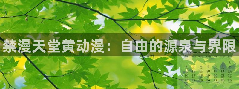 风车动漫网：禁漫天堂黄动漫：自由的源泉与界限