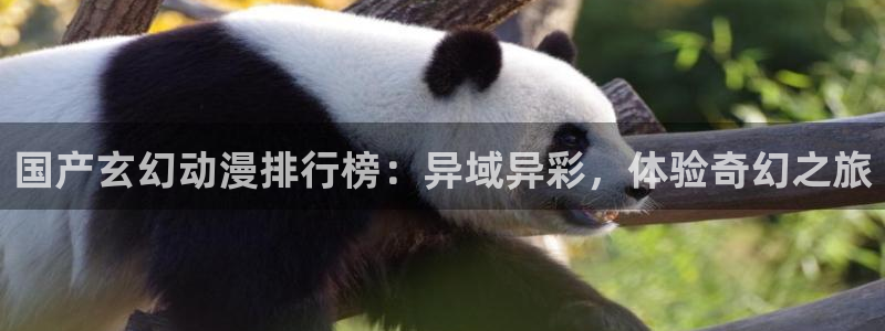 风车动漫下载动漫全免费：国产玄幻动漫排行榜：异域异彩，体验奇幻之旅