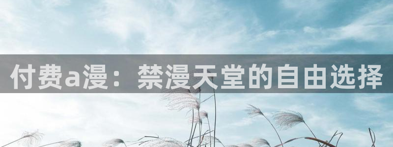 风车动漫网：付费a漫：禁漫天堂的自由选择